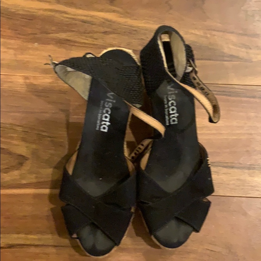 Viscata Wedges
